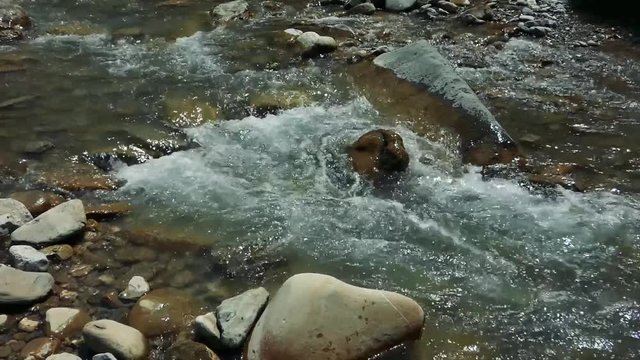 Creek in the mountains. Cold clear stream between rocks. Stones at the front. Water flow in the forest. Sunny summer day. With original sound.