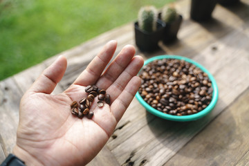 Hand holding coffee beans