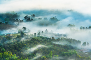 City in the mist 8