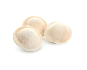 Fresh raw dumplings on white background