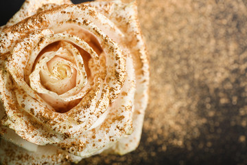 Beautiful rose with golden glitters, closeup