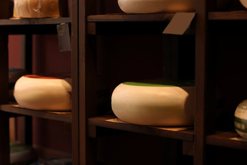 Assortment of tasty cheese on shelves in store