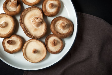 Mushrooms close up