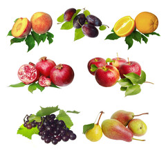 Set of a variety of fruits on white. Grapes, peaches, orange, pomegranate, pears, plums. Isolated on white.