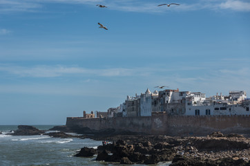 Fototapeta na wymiar View to Essaouira old city rampant and ocean from Scala du Port ( Northern Skala ) fort side with seagulls at foreground, Mugadur, Morocc