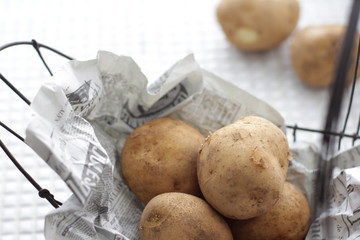 白いタイルの上で新聞紙に包まれて保存してるジャガイモ