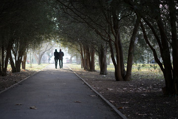 Obraz premium couple in love walks along the alley in the park