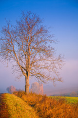 Obraz na płótnie Canvas Country field landscape on autumn day