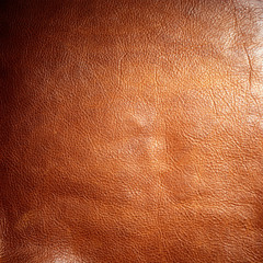 shiny dark brown animal leather texture material background