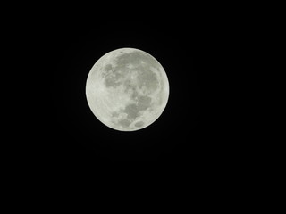 Fototapeta premium Full moon on dark sky.