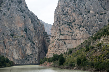 Défilé des Gitanes