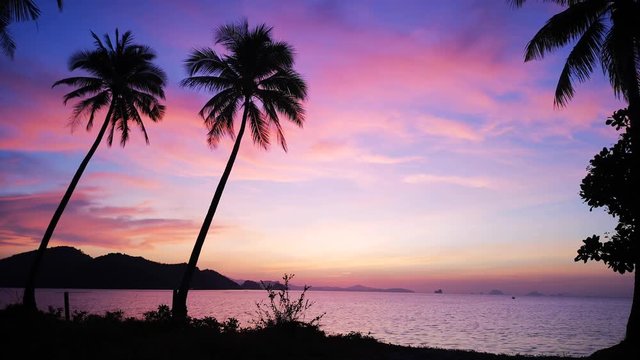 Sunrise with beautiful violet pink sky and coconut trees, sea breeze with tropical scene.