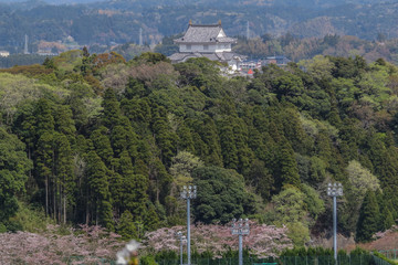 Fototapeta na wymiar 春の大多喜県民の森展望台から見た風景
