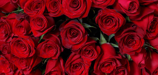 Natural red roses background. Flower bouquet fresh dark red roses close up texture background