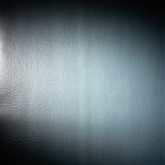 Obraz premium grey and white animal leather texture material background