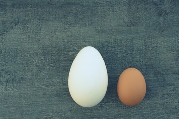oeufs de poule et d'oie ,isolé
