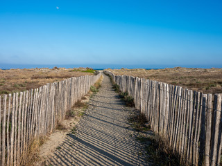 Fototapeta premium Sandy beach path with wooden railings. Pathway to beach and ocean sea. Minimal artistic nature landscape photography.