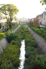 住宅街の用水路