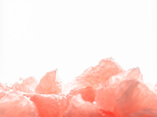 Close-up soft focus on the citrus pulp of red pomelo, peeled and skinned. Low calorie diet plan concept backdrop.