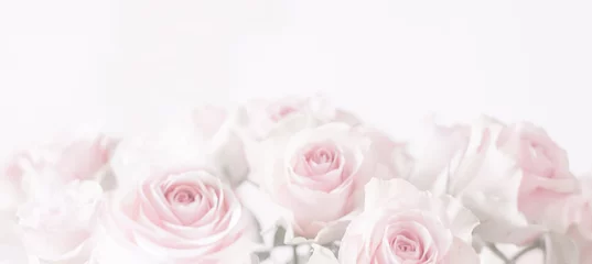 Fotobehang Blurred wide pastel pinkish romantic roses for background design of a wedding, anniversary, festive invitation and greeting. © IRINA NAZAROVA