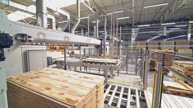 Modern equipment for automating wood processing at the factory. Making parquet with the help of robotic technology and people.
