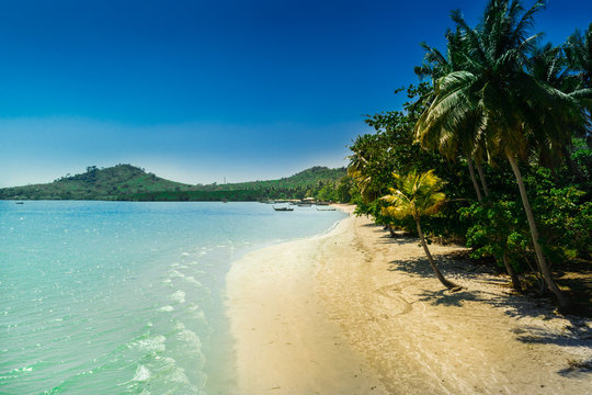 magnifique plage de sable blanc sous palmiers