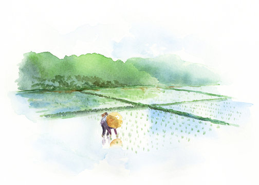 田植え　日本の風景　水彩画