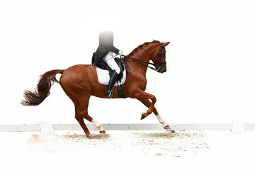 Horse, dressage with rider in the neckline, on the hoof-blow galloping in the upward phase released...