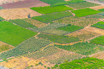 Fields and orchards near sea of galilee in Israel