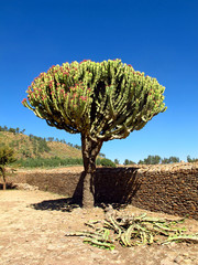 Axum, Ethiopia