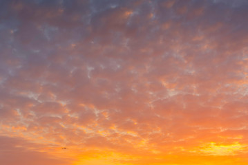 amazing sky at dawn