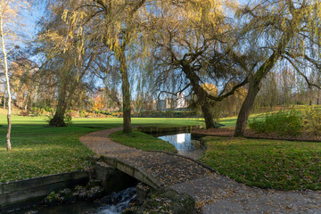 Autumn Colours