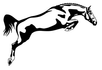 A logo of a jumping horse.
