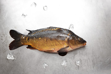 Karp, ryba na sklepowej ladzie. © foodandcook