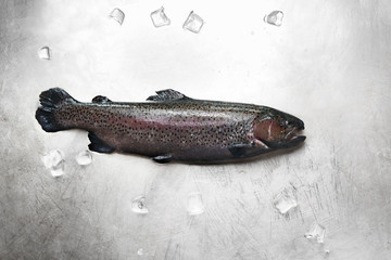 Pstrąg. Świeża ryba w kuchni. © foodandcook