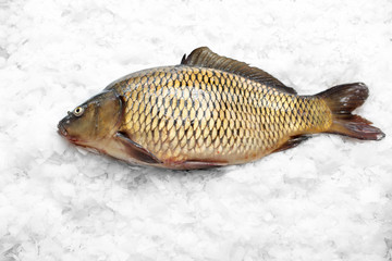 Karp królewski, świeża ryba na lodzie © foodandcook