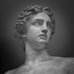 Ancient marble portrait bust. Head man statue. Antique sculpture