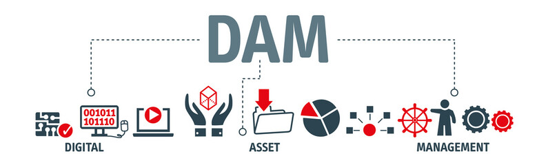 DAM Digital Asset Management Organization Concept