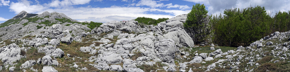 Gipfelregion des Štirovnik (Lovcen) in Montenegro