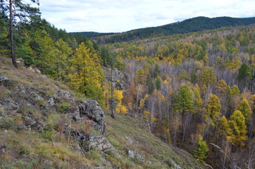 Autumn forest - a great time to relax