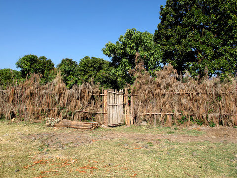 Kombolcha, Ethiopia, Africa