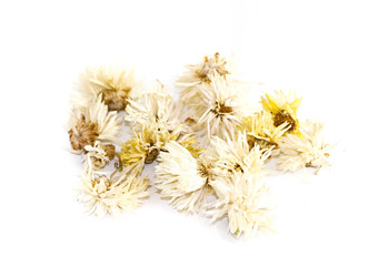 Obraz premium Chrysanthemum Close up white background