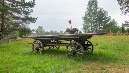 Fototapeta na wymiar old cart in field