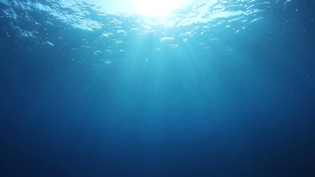 Underwater ocean background video 