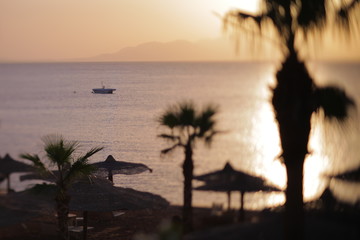 Seashore at sunrise