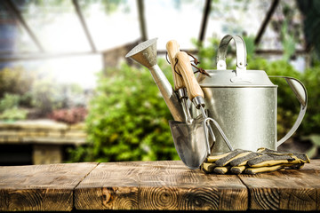 Desk of free space and garden tools. Free space for your decoration.  © magdal3na