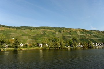 Die Mosel bei Bernkastel-Kues