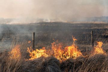 Bursdon Moor, Hartland,North Devon, England, UK. February 2019. Fire burning close to the boundary...