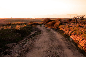 Cielo al atardecer sobre un viejo camino rural