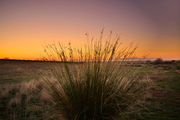 Cielo al atardecer en el mundo rural